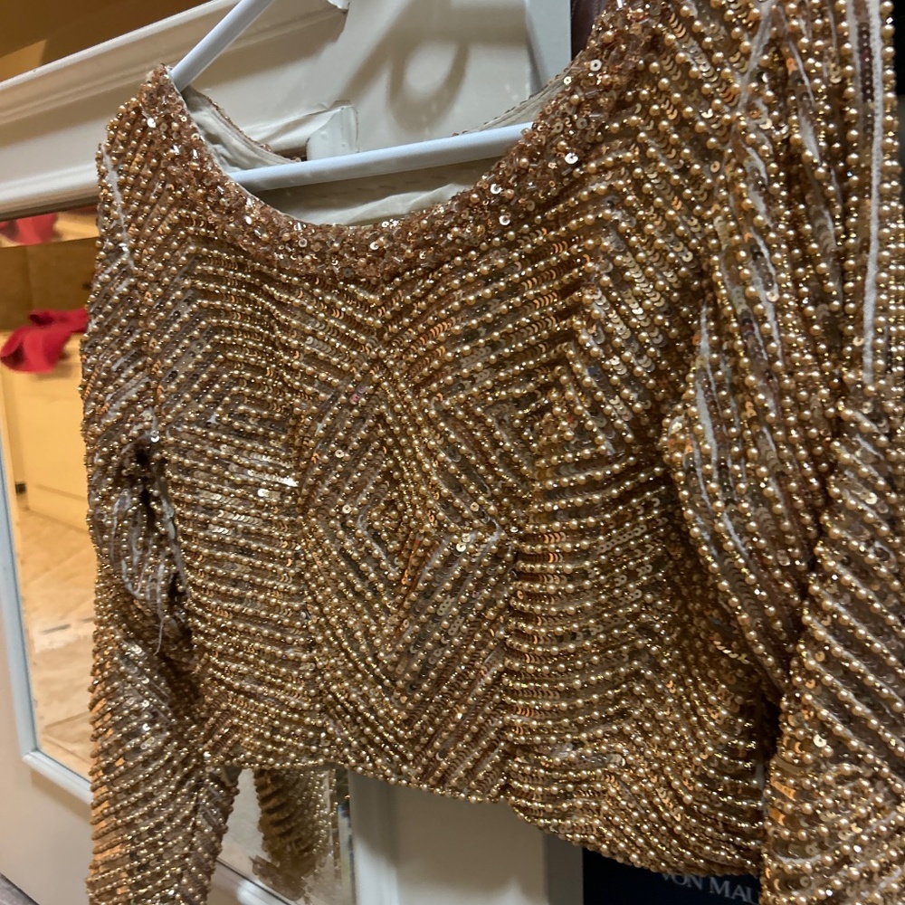 Hand Embroidered Beige Chiffon Saree / Sari with heavy sequence work - Picture 7 of 11